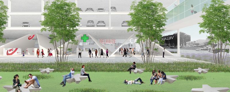 193 Iamp Landscape Collage 03