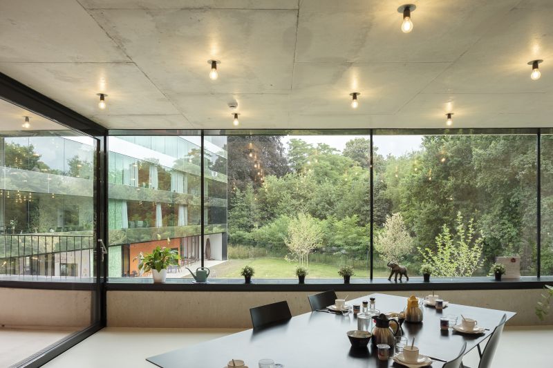 143 Gza 170628 Dsf4645 Fransparthesius