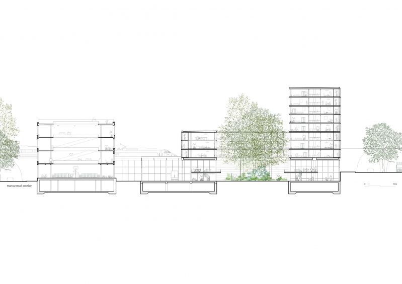 246 Citygate Brussels Section Transversal