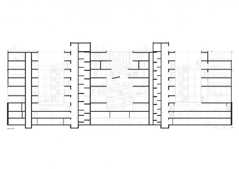247 Da Vinci School Brussels Section Longitudinal Last