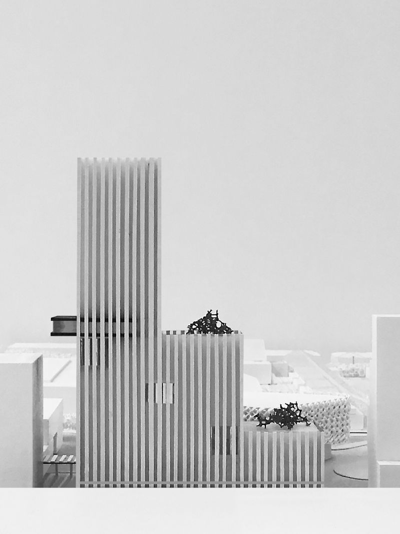 245 Tt Model Studies 04