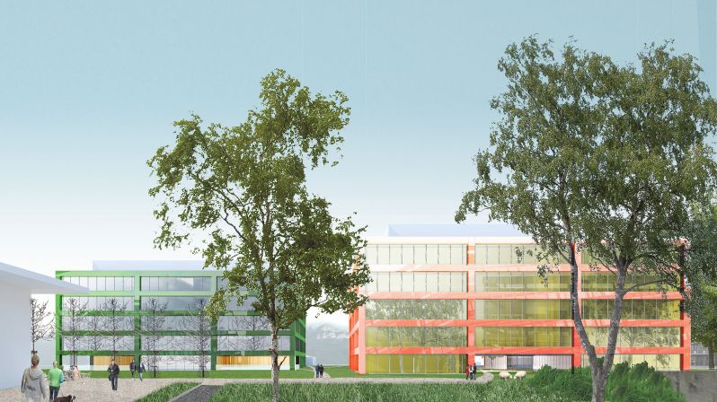 217 Science De La Vie Collage 01