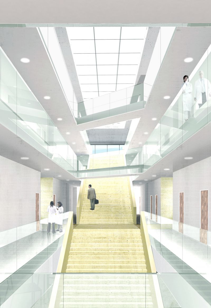 217 Science De La Vie Collage 02