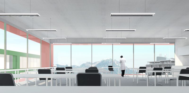 217 Science De La Vie Collage 03