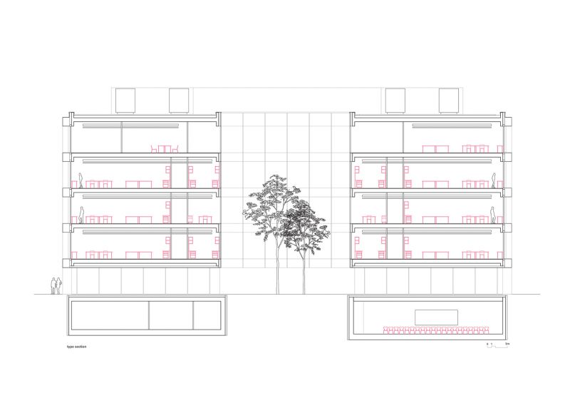 217 Science De La Vie Plan 01 03
