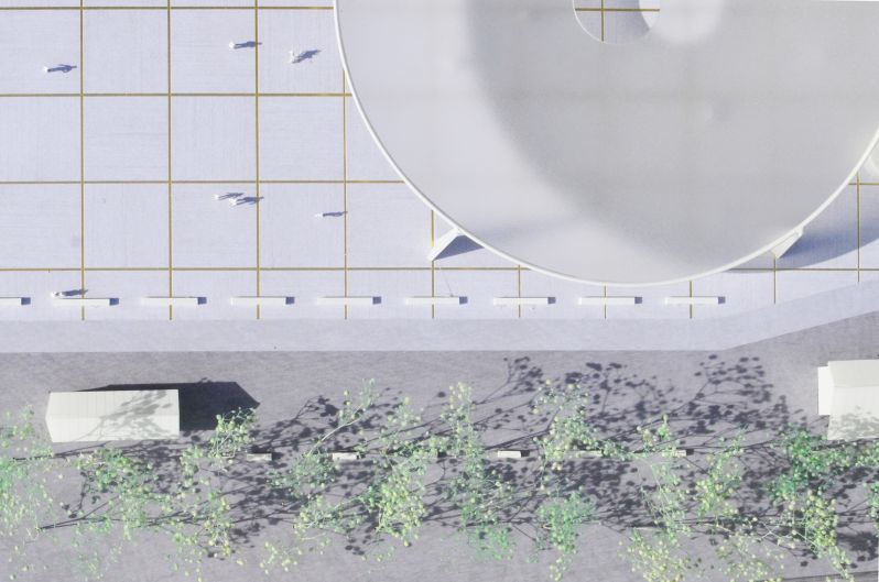 197 Zand Bruges Imq 02