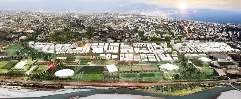 153 Meridia Collage 01