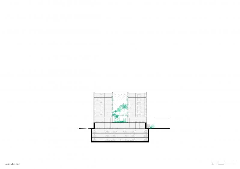 353 Muscat Section Bb 500 01