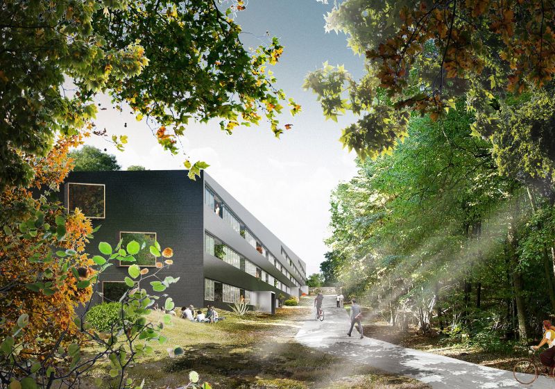 174 Laken Hop Collage 04