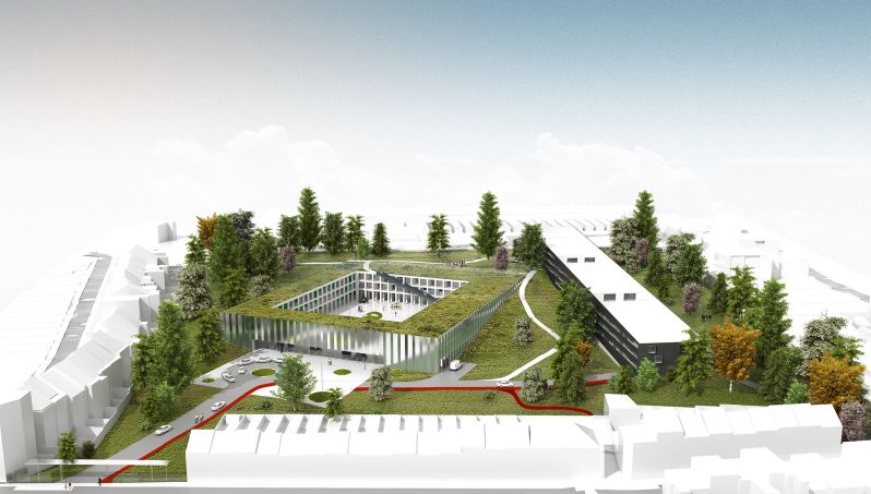 174 Laken Hop Collage 06