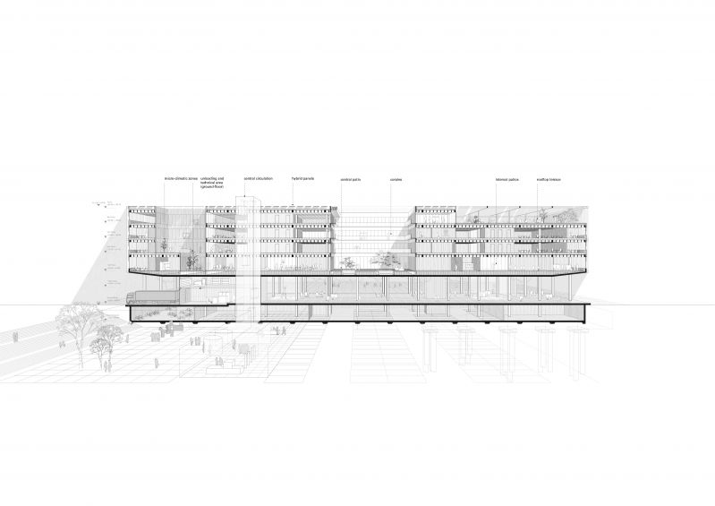 305 Section Perspective 01 01