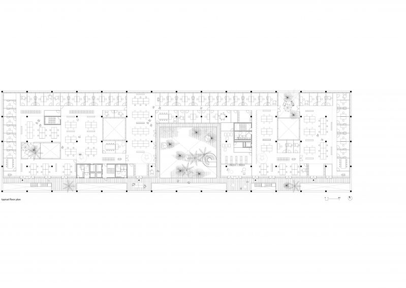 305 Sevilla Jrc Typical Floor 01